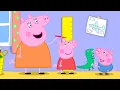 Peppa Pig Learns to Measure Her HEIGHT Peppa George Growing Tall Full Episodes 30 Minutes