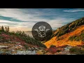 Hosini - Dimma