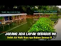 Download Lagu JARANG ADA LAPAK SEBAGUS INI || DEBIT AIR NAIK TAPI IKAN NYA BABON SEMUA || Mancing Saguling Terbaru