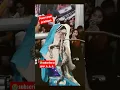 Download Lagu Tari Ular Hot