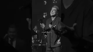 يا أميرة كل النجمات    وائل كفوري دندنها