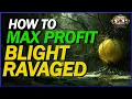 POE 3 25 How To Make The Best Profit From Blight Ravaged How I Approach Them For MAXIMUM VALUE