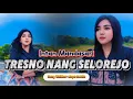 Tresno Neng Selorejo - Intan Mandasari