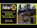 Fallout 76 - The Observant Radstag Random Encounter To A Secret Stash