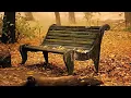 LEGENDS OF THE FALL-THE LUDLOWS