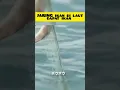 Download Lagu JARING IKAN DI LAUT DAPAT IKAN.!#mancing #menjaringikandilaut #penangkapanikan #shorts