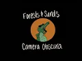 Download Lagu camera obscura - forests and sands (karaoke)