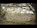 HUGEL, French Montana, David Guetta, Aidan Martin - Shine (Lyrics)