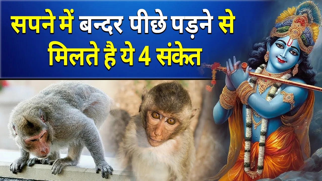 सपने में बन्दर पीछे पड़ने से मिलते है ये 4 संकेत || sapne me bandar piche padna