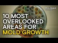 10 Most Overlooked Areas For Mold Growth