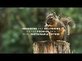 Sustainability WestRock