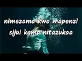 Lagu Bi Shakila- Nimezama Kwa Mapenzi taarab(Video lyrics)
