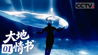 《大地情书》01 新疆姑娘与白鲸的海洋之约 苗族大姐将苗族的美丽事业展示给全国观众【CCTV纪录】