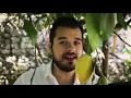 Napoleone - Porta Pacienza