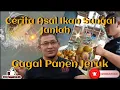 Download Lagu LEGENDA WISATA IKAN SAKTI || SUNGAI JANIAH || GAGAL PANEN JERUK || PULANG KAMPUNG || MGA Offcial