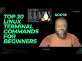 20 Essential Linux Commands Every Beginner Must Know Terminal Cheat Sheet