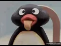 pingu confused gif