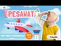 PESAWAT | Belajar tentang Pesawat sambil Mengenal Warna dan Angka