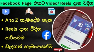 how to upload reels on facebook page sinhala fb page ekata video facebook video upload 