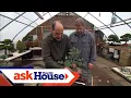 How to Create Bonsai from Regular Trees Ask This Old House
