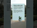 Download Lagu Hidup Itu Belajar #shorts #viralvideo #short