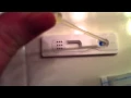 Dollar store pregnancy test