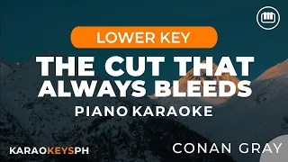 The Cut That Always Bleeds Conan Gray Lower Key Piano Karaoke 
