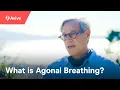 What is Agonal Breathing