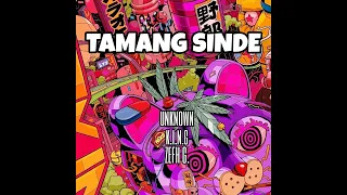 Download TAMANG SINDE by king zefh MP3