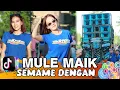 Download Lagu MULE MAIK SEMAMEN DENGAN LAGU VIRAL TIKTOK AZYA MUSIK