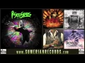 Download Lagu I SEE STARS - Electric Forest (ft. Cassadee Pope)