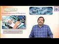 Problem Solving on UDP Echo Server and UDP Echo Client by Dr D Mahammad Rafi