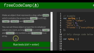Build Javascript Objects freeCodeCamp Basic Javascript