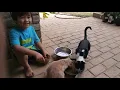 Kent and His 3 Cats