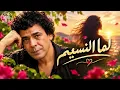 محمد منير - لما النسيم| Lamma El Nassim - Mohamed Mounir