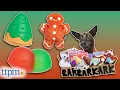 2022 Holiday Themed Bark Box