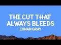 Download Lagu @ConanGray  - The Cut That Always Bleeds (Lyrics)