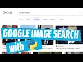 Do a google image search with python