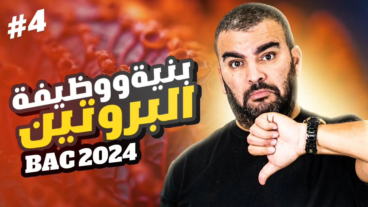 الوحدة 02 : العلاقة بين بنية ووظيفة البروتين من الألف إلى الياء✅