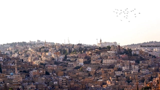 على طريق السلط   عمر العبداللات      دندنها