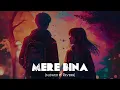 Mere Bina (slowed and reverb) The PropheC | Talha Anjum | KSHMR