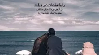 بيت كبير حالات واتس تامر عاشور 