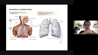 Fisiologia Sistema Respiratório - Parte 1 (ENS. SUPERIOR)