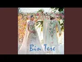 Download Lagu Bin Tere