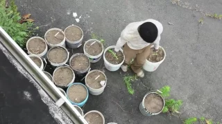 Just Turned 5 Years Old By Far HBO S Best Boxing Commercial 