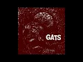 Download Lagu GATS S/T (2024)