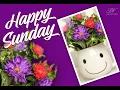 Happy Sunday Wishes Beautiful Sunday Morning Greetings