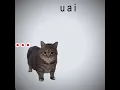 Download Lagu Ui ui uai I I I I I I I I