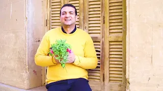 كروان العالم الإسلامى المبتهل الإذاعى حسام الأجاوى يبدع فى مدح النبى فى انشودة مديح المصطفى 