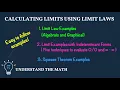 How to Calculate Limits Using Limit Laws Indeterminate Forms Squeeze Theorem